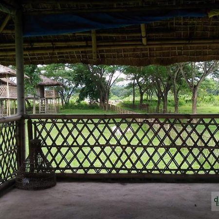 Dhansiri Eco Camp Bokākhāt Exterior foto
